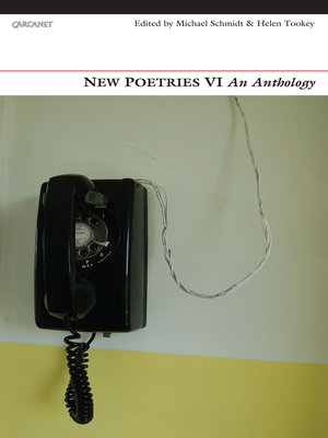 cover image of New Poetries VI